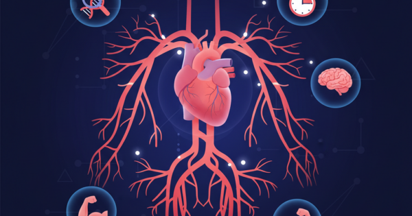 Descubra Curiosidades sobre o Sistema Arterial Humano